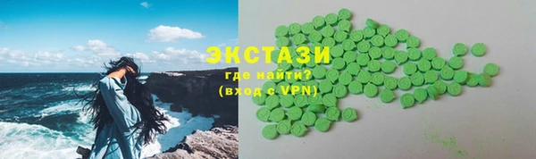 ECSTASY Бородино